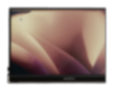 Other portable monitors
